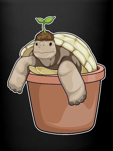 Turtle Seedling