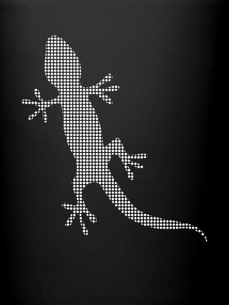 Lizard