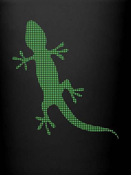 Lizard