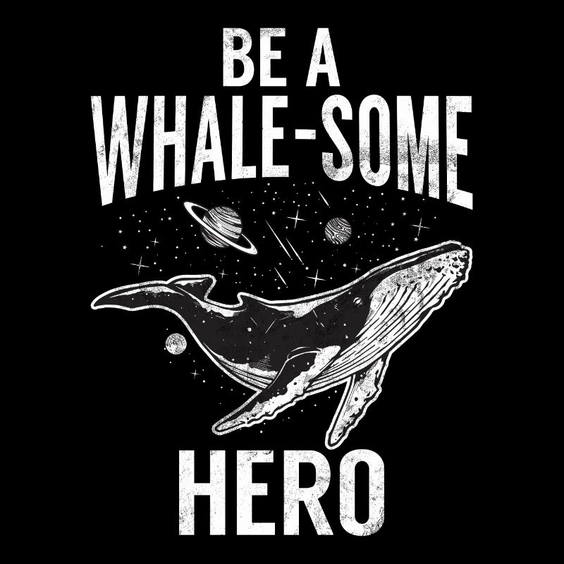 Killerwal Schwertwal Wale beobachten Orca Wal