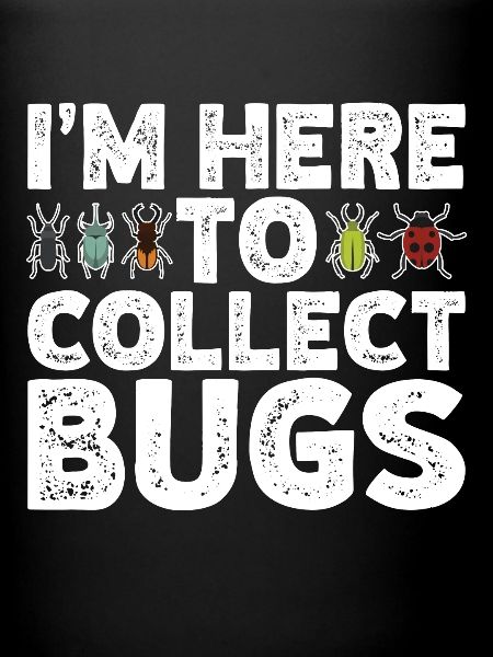 Insecte