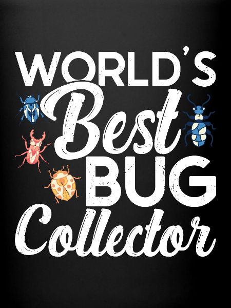 Insecte