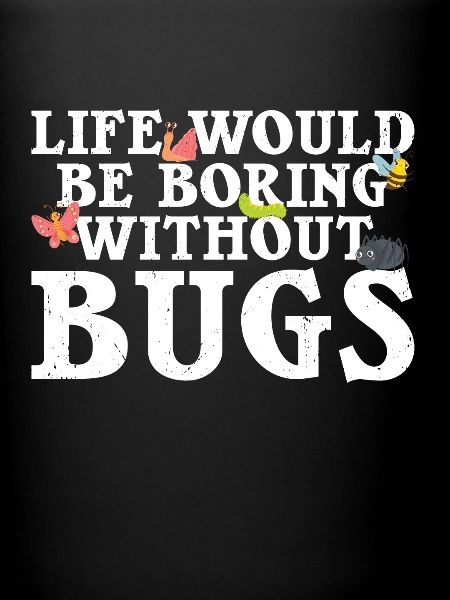 Insecte