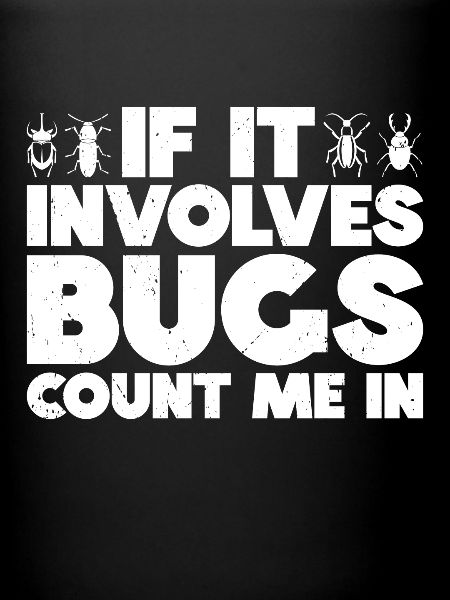 Insecte