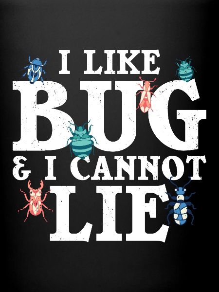 Insect