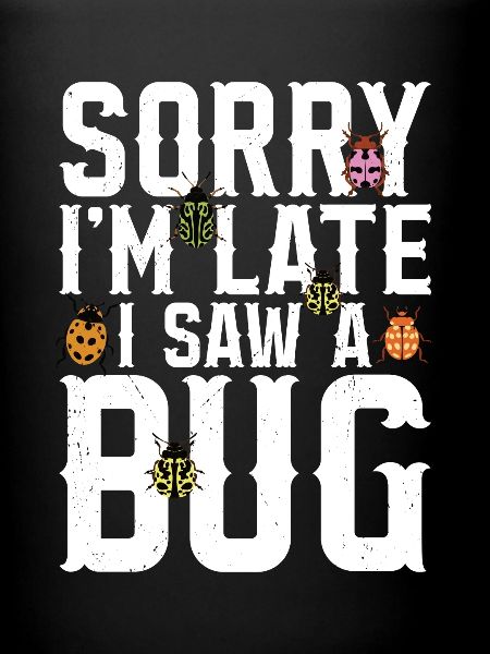 Insecte