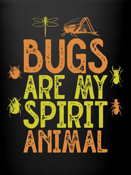 Insecte