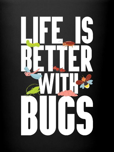 Insecte