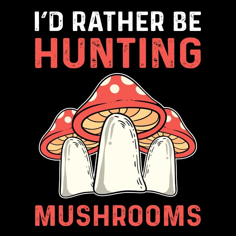 Je préfère chasser les champignons. Collecte de champignons