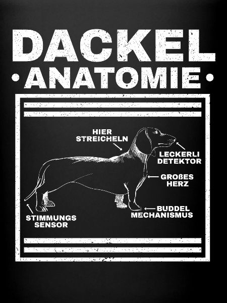 Dackel Anatomie