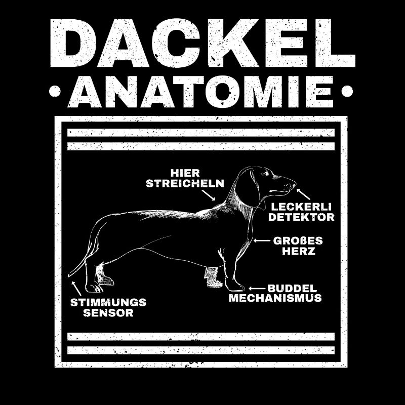 Dackel Anatomie