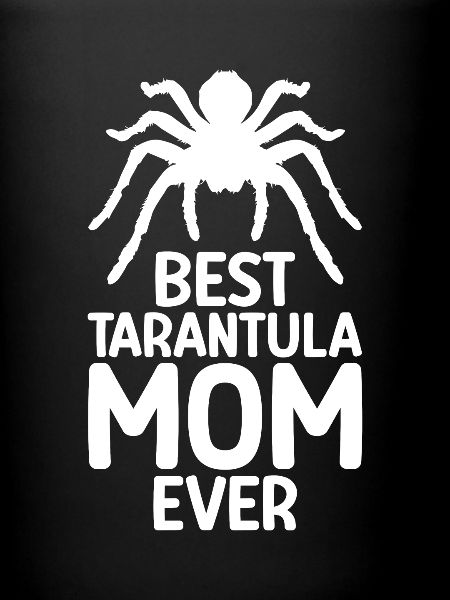 Tarentule