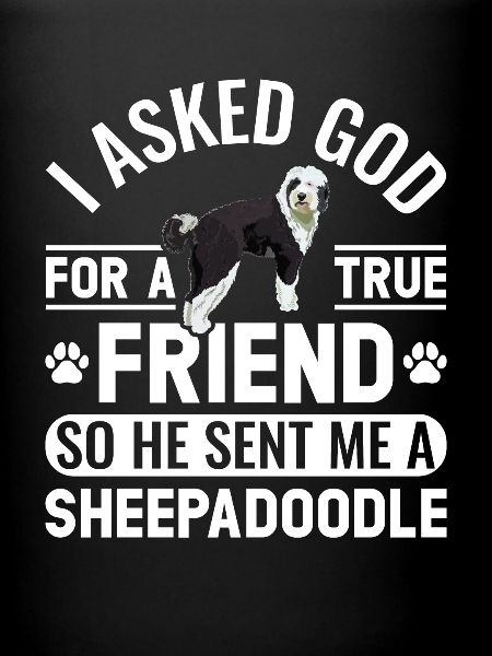 Sheepadoodle Doodle Dog