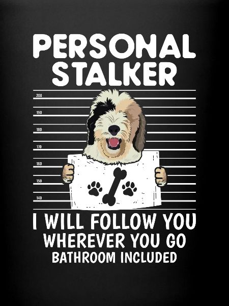 Sheepadoodle Doodle Dog