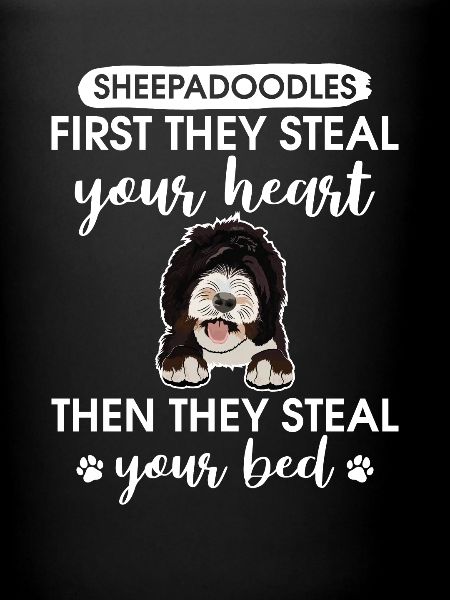 Sheepadoodle Doodle Dog