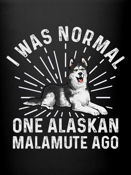 Chien Malamute d’Alaska
