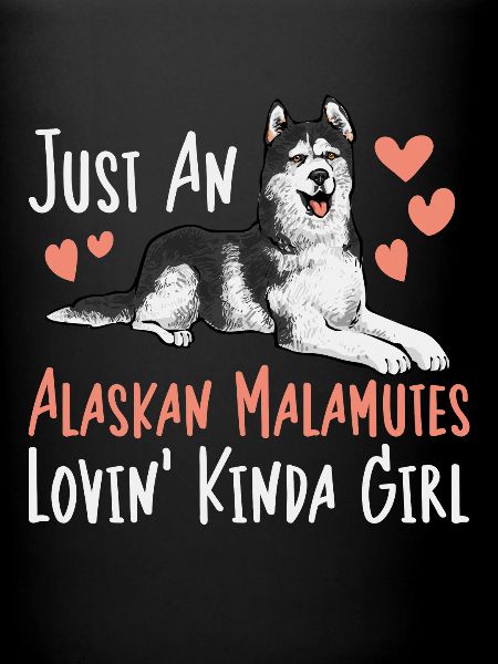 Chien Malamute d’Alaska