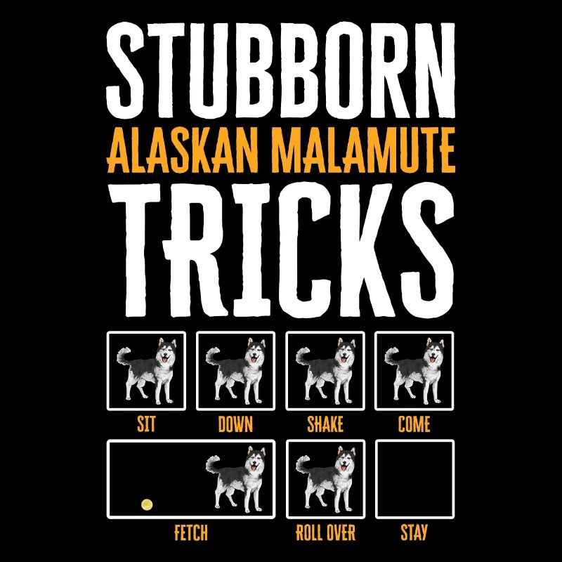 Alaskan Malamute Dog