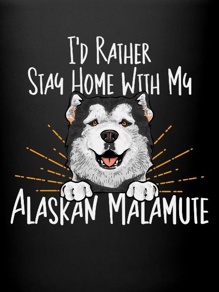 Chien Malamute d’Alaska