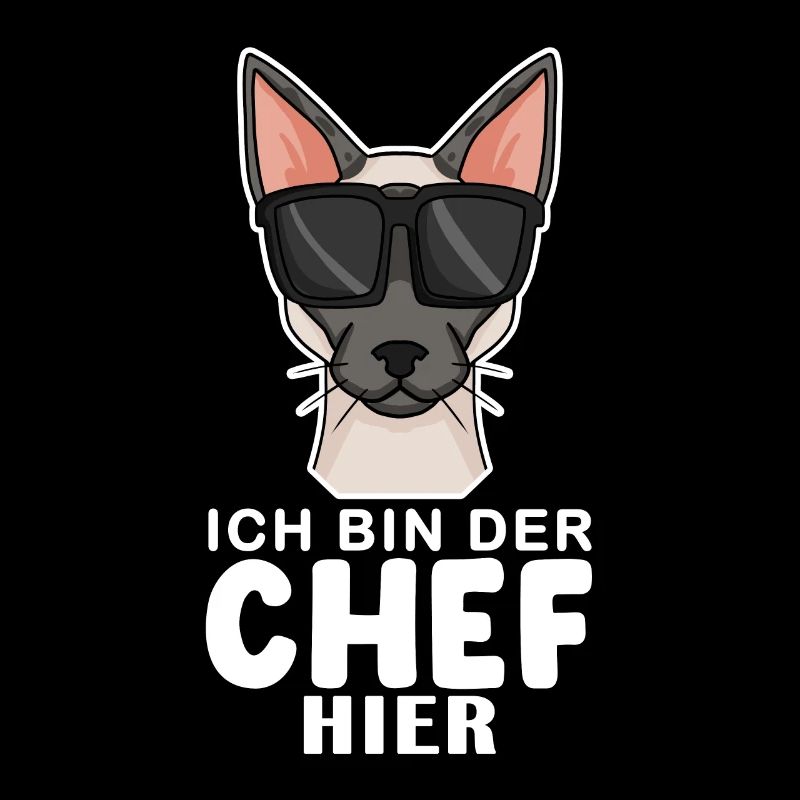 coole Katze - Siamkatze Spruch