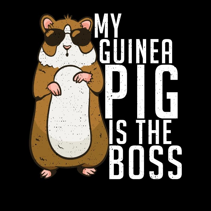 Süßes Meerschweinchen Geschenk