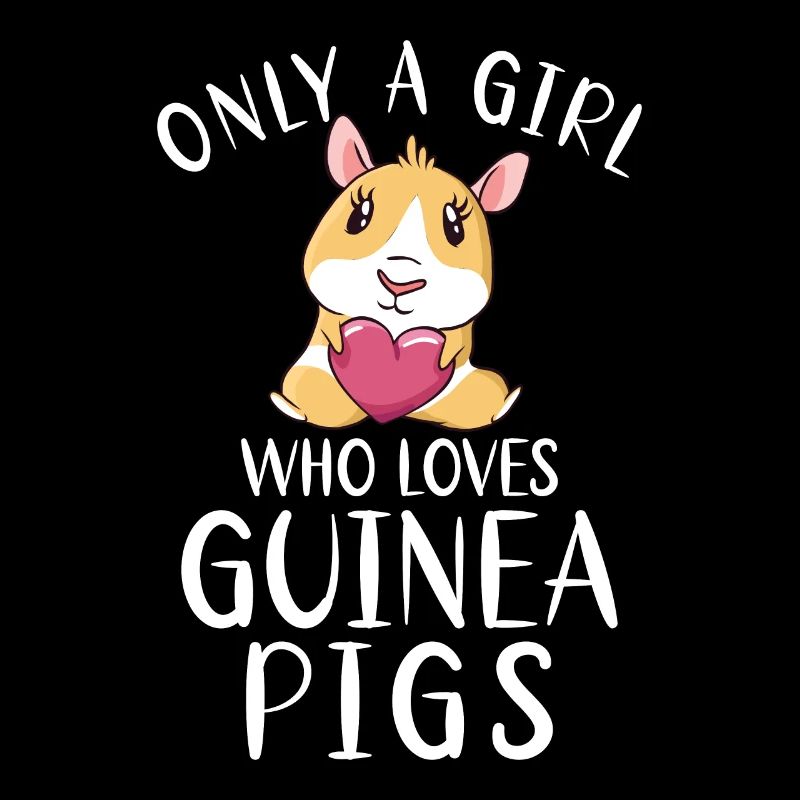 Cute Guinea Pig Gift