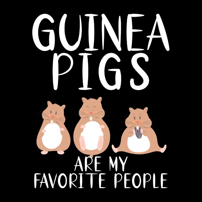 Cadeau mignon cochon d’Inde
