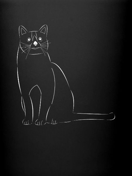 Chat dessiné