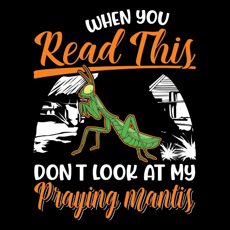 Praying mantis Gift Mantis Mantis