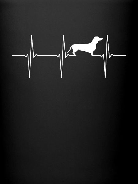 Dachshund ECG
