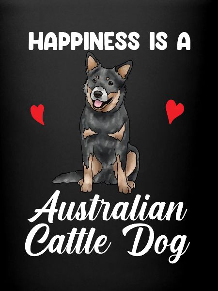 Bouvier australien chien