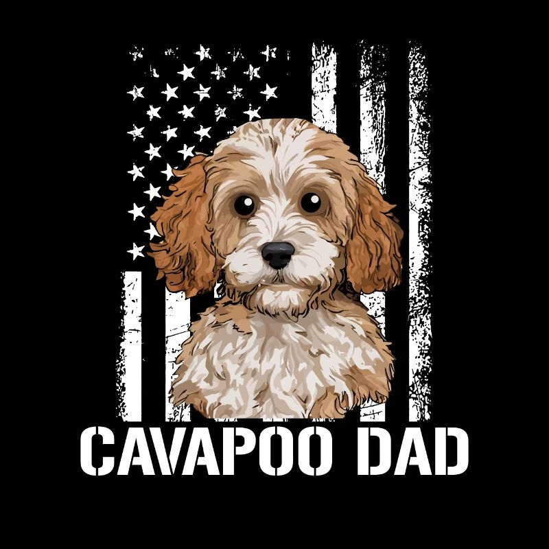 Chien Cavapoo, Cavapoo