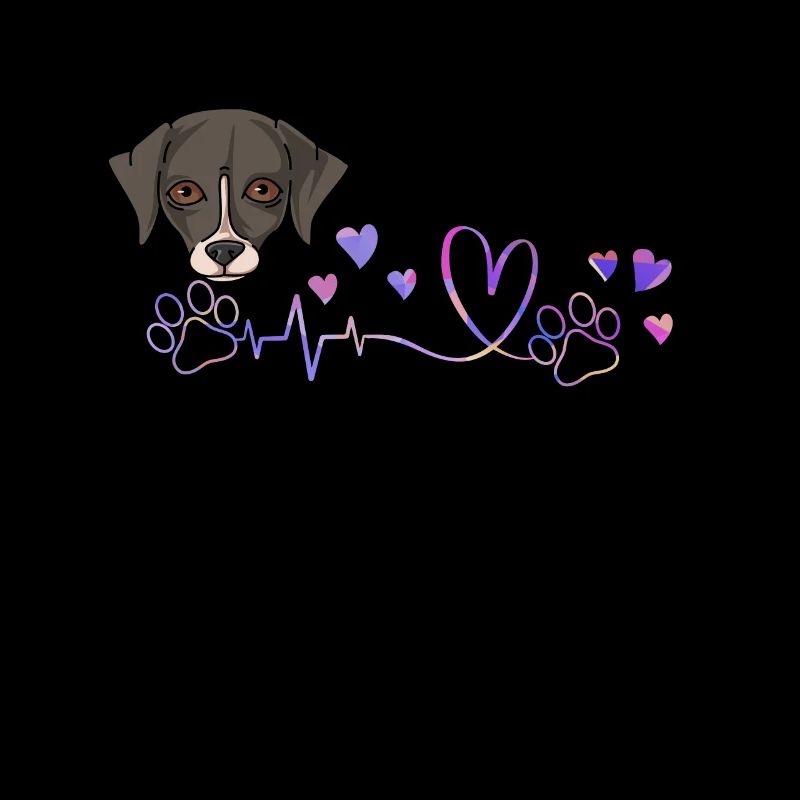Whippet