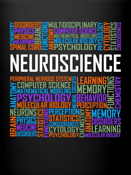 Neuroscience - Words