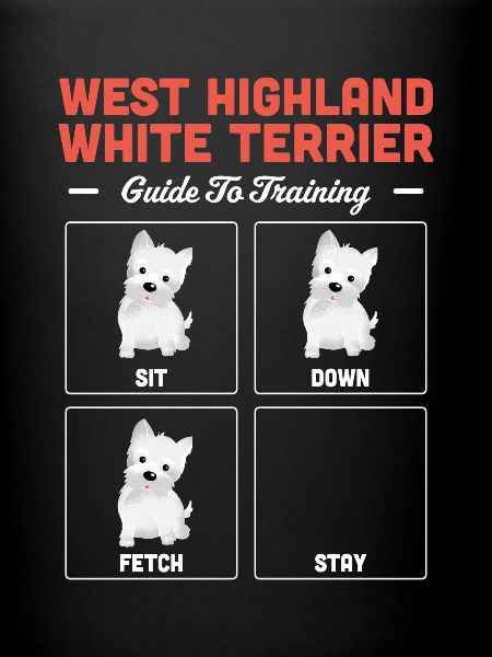 West Highland Terrier