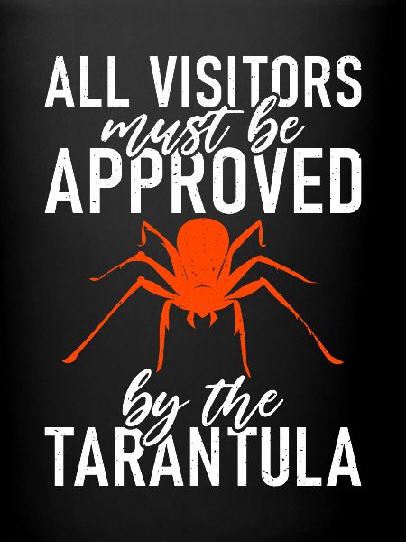 Spider Lover Gifts