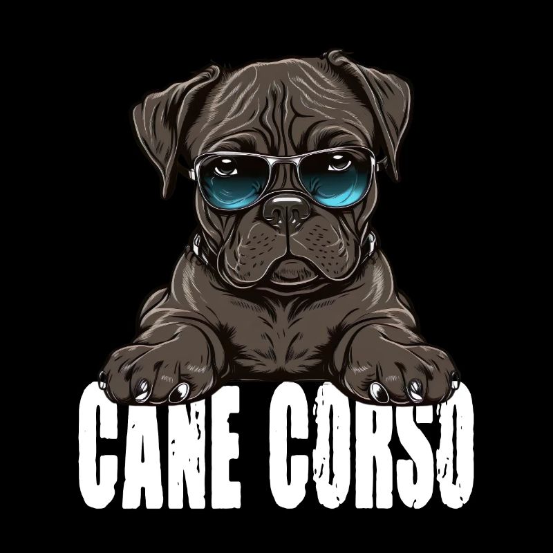 Cane Corso Welpe für einen Cane Corso Besitzer