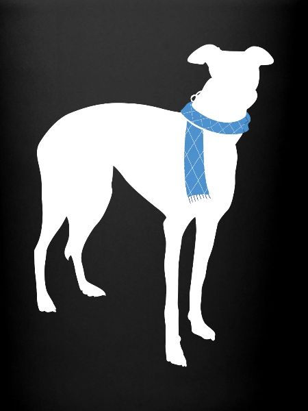 Whippet
