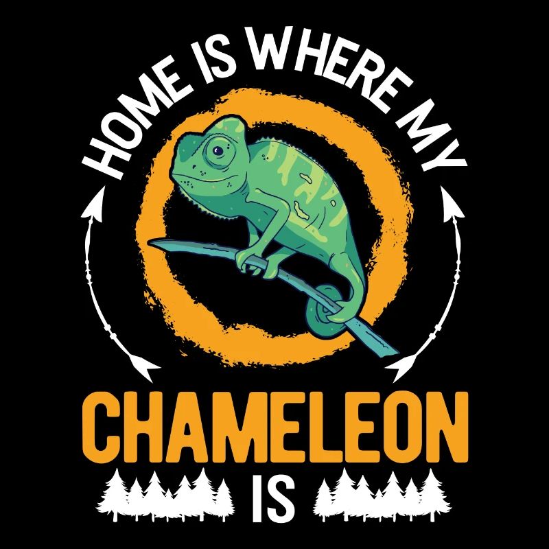Caméléon Accueil Caméléon