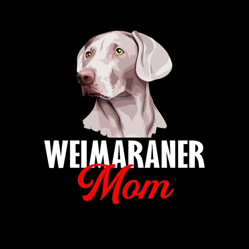 Weimaraner Maman, Weimaraner Chien