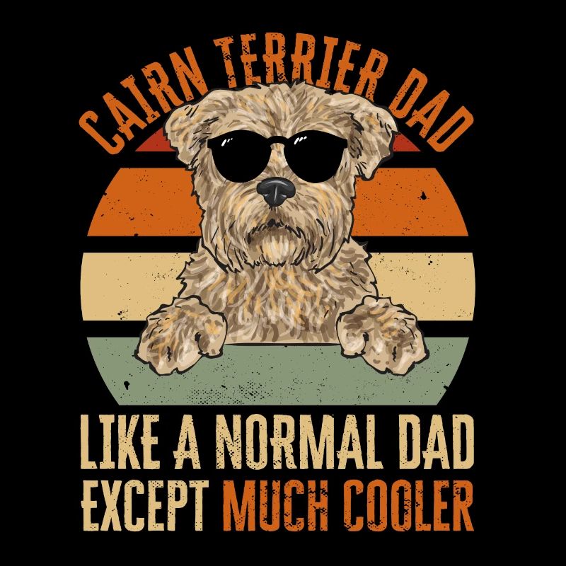 Cairn Terrier Chien