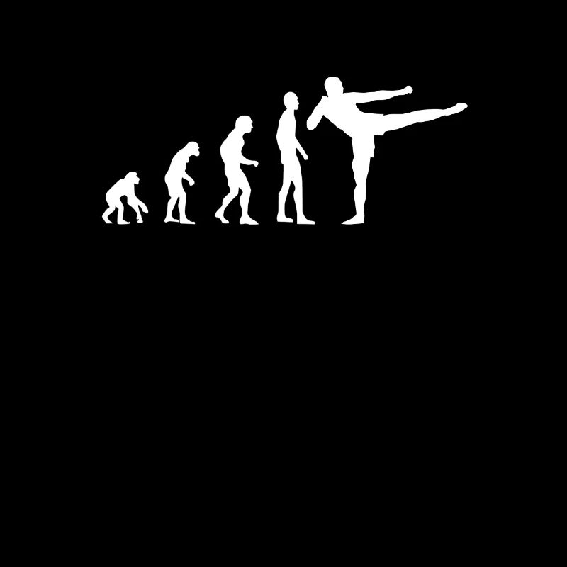 Evolution Kickboxen, MMA, Kampfsport