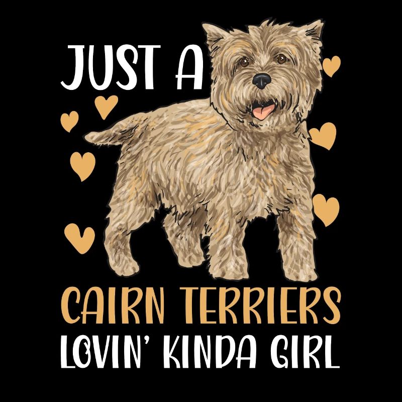 Cairn Terrier Chien