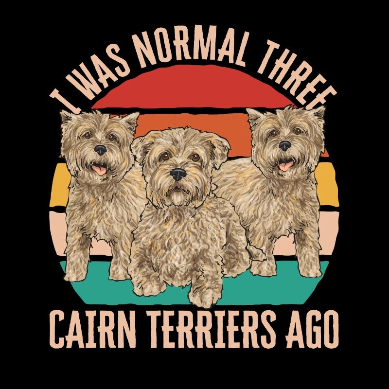 Cairn Terrier Chien