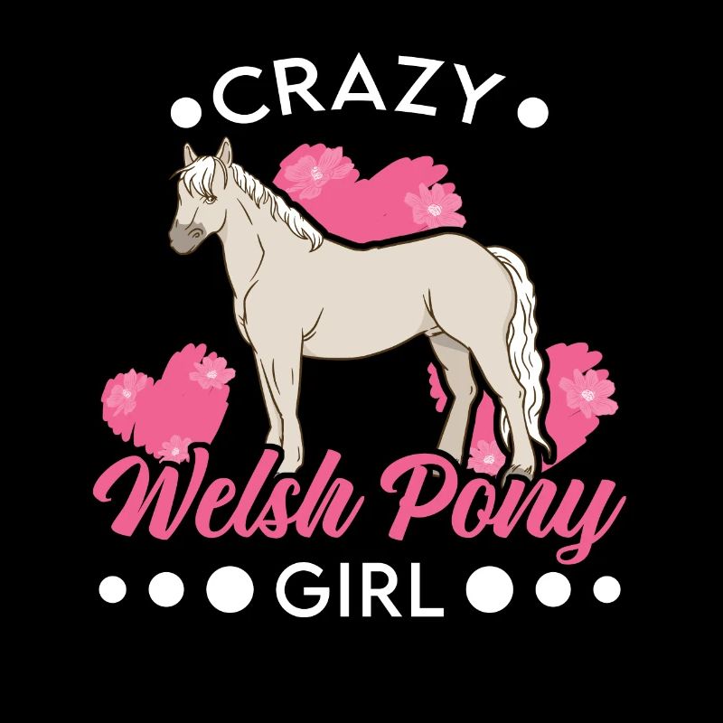 Verrücktes Welsh Pony Mädchen