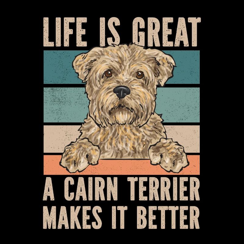 Cairn Terrier Chien