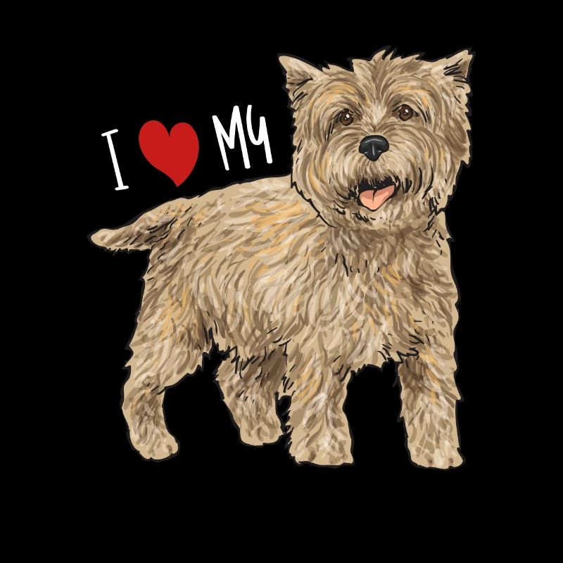 Cairn Terrier Chien