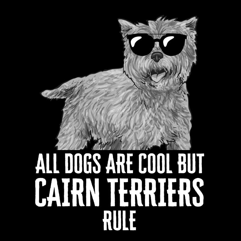 Cairn Terrier Chien