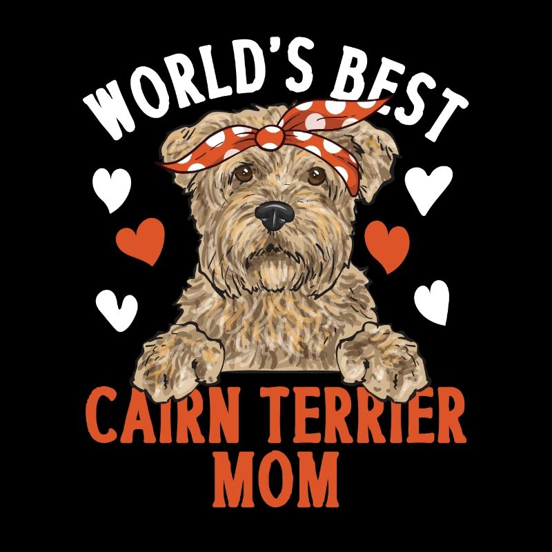 Cairn Terrier Chien