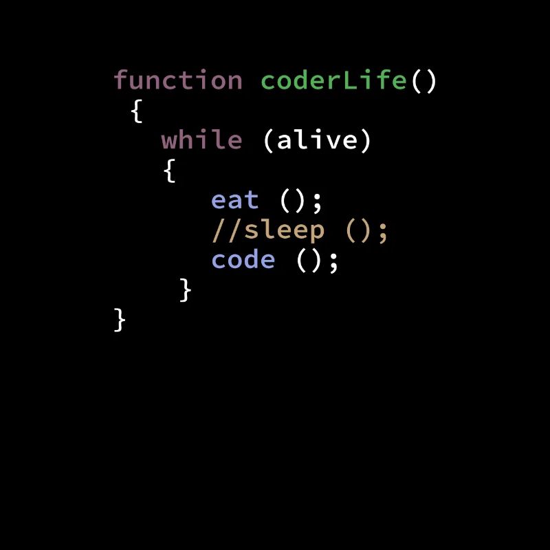 Fonction de vie de programmeur amusant